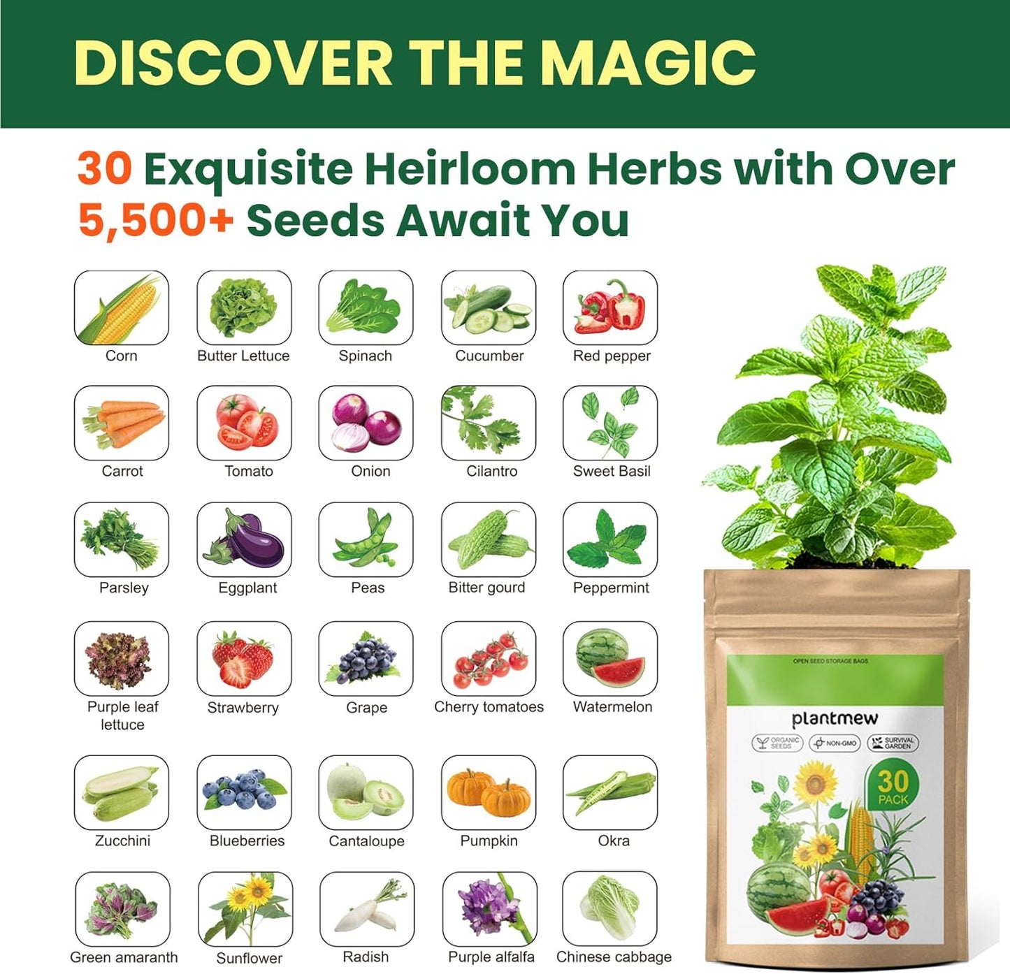 15,000+ Non-GMO Variety Heirloom Garden Seeds