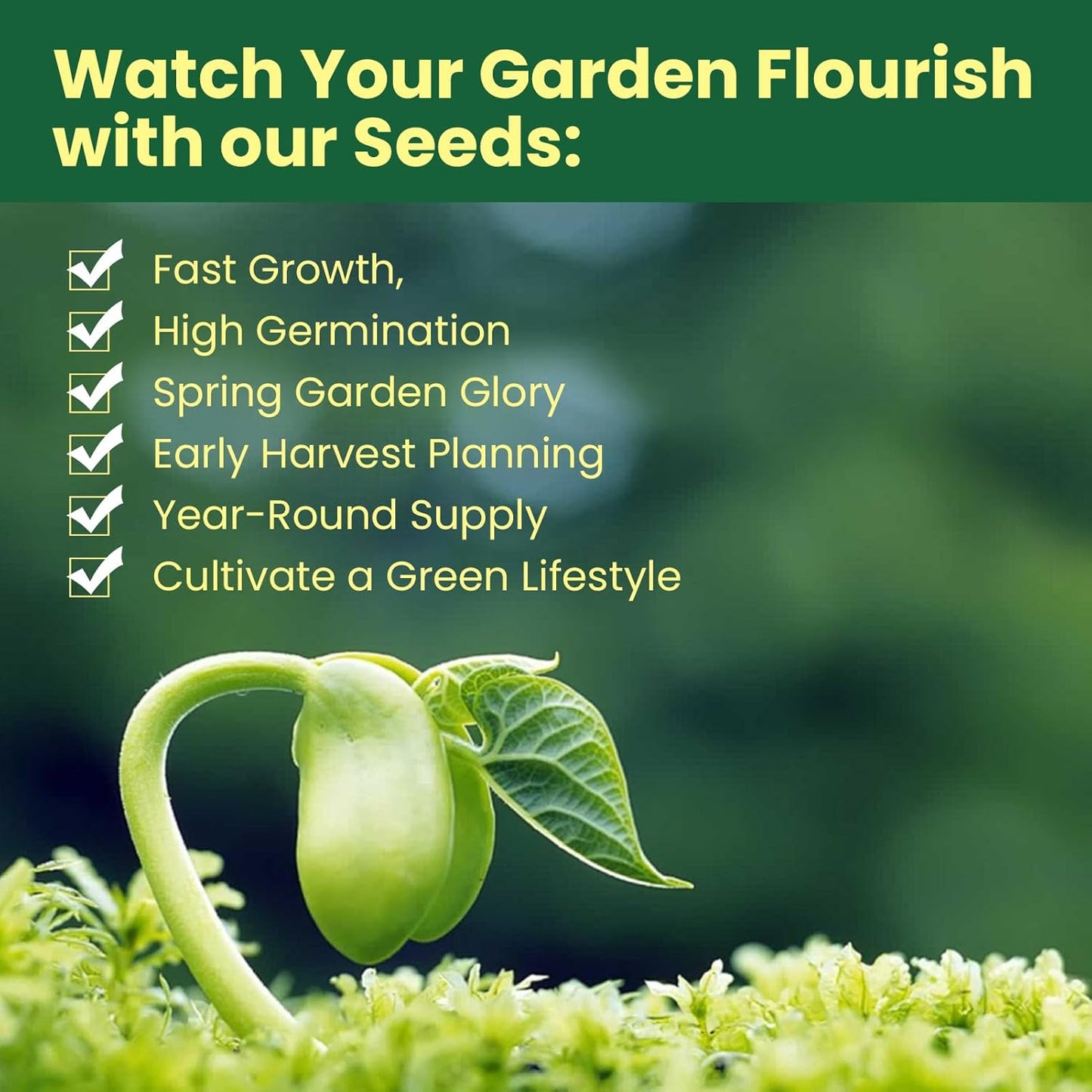 15,000+ Non-GMO Variety Heirloom Garden Seeds