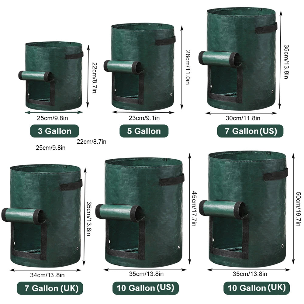 S73b8764bbc22414d997fd820225e5998q