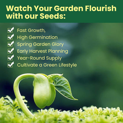 15,000+ Non-GMO Variety Heirloom Garden Seeds